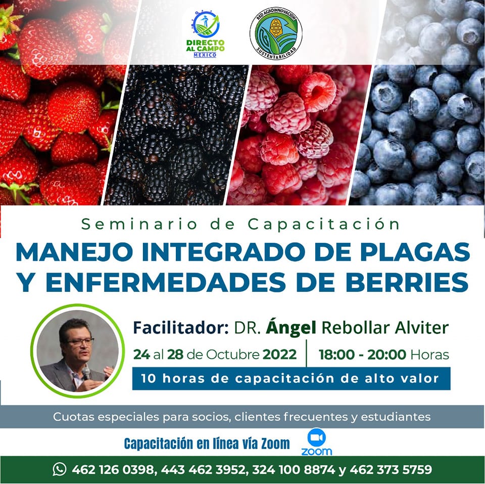 Plagas y Enfermedades de Berries y su Manejo integrado