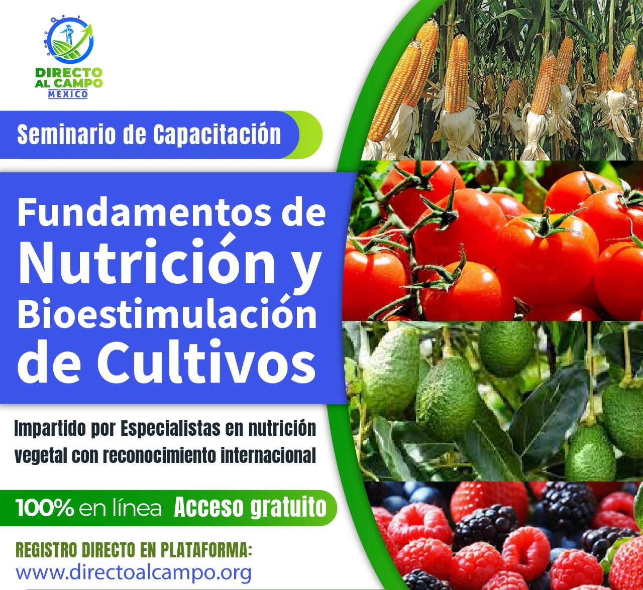 Fundamentos de nutrición y bioestimulación de cultivos