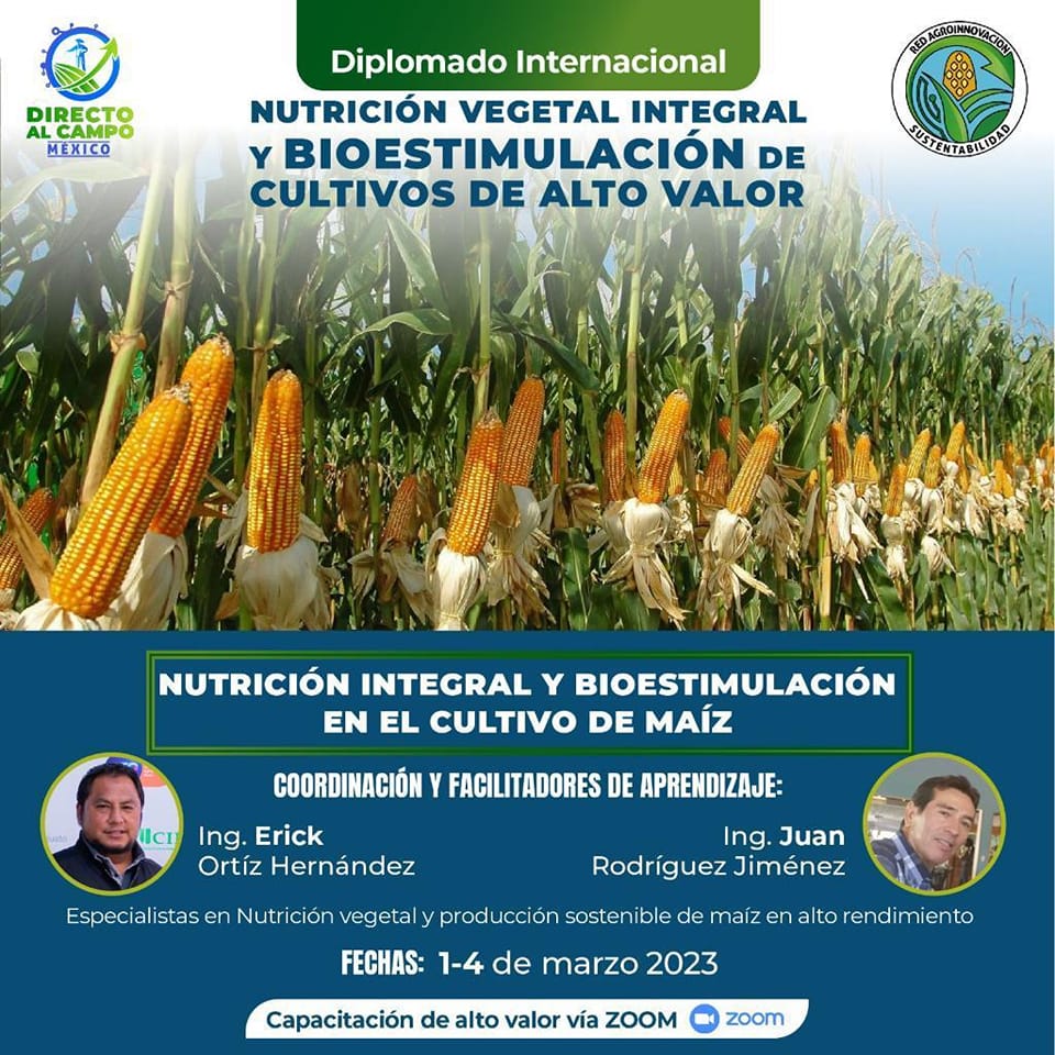 Nutrición Integral y Bioestimulación en el Cultivo de Maíz