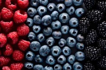 Nutrición Integral y Bioestimulación de Berries