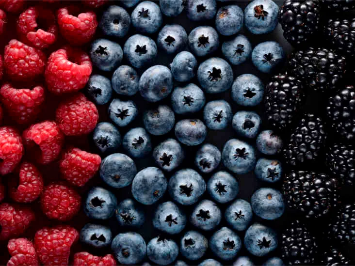 Nutrición Integral y Bioestimulación de Berries