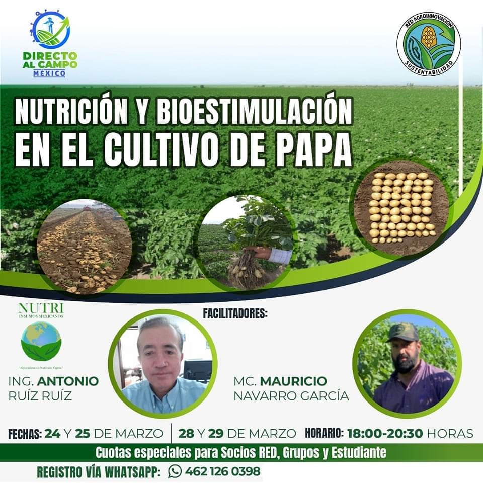 Nutrición y Bioestimulación en el Cultivo de Papa
