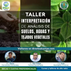 Interpretación de Análisis de Suelo, Agua y Tejidos Vegetales para el diseño de programas de nutrición Vegetal utilizando Excel