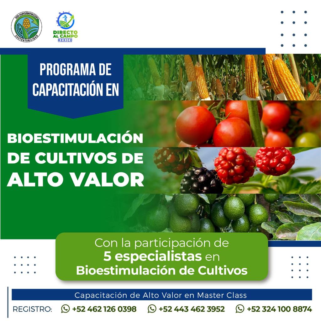Bioestimulación de cultivos de alto valor