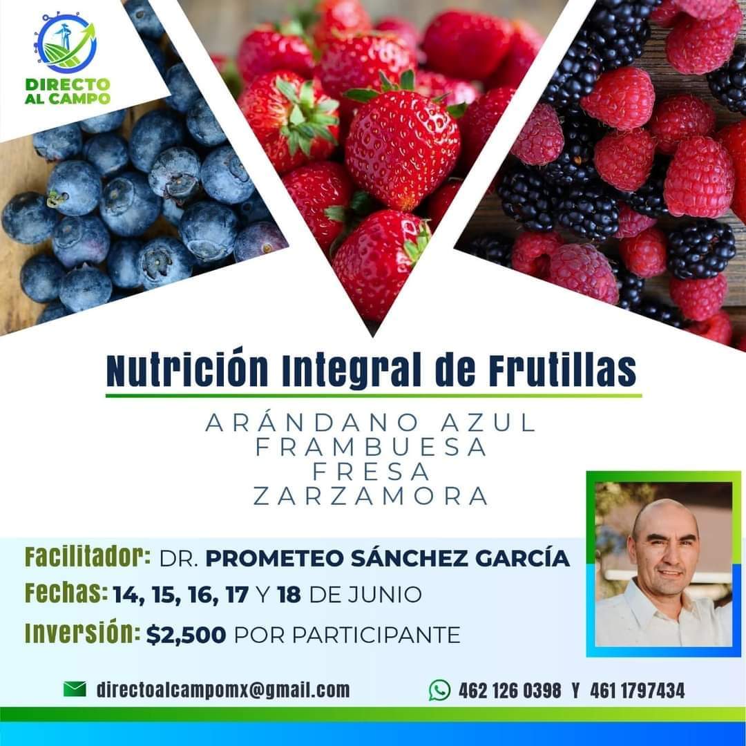 Nutrición Integral de Berries