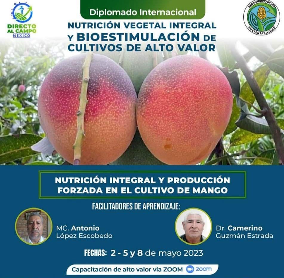 Nutrición integral y producción forzada de mango