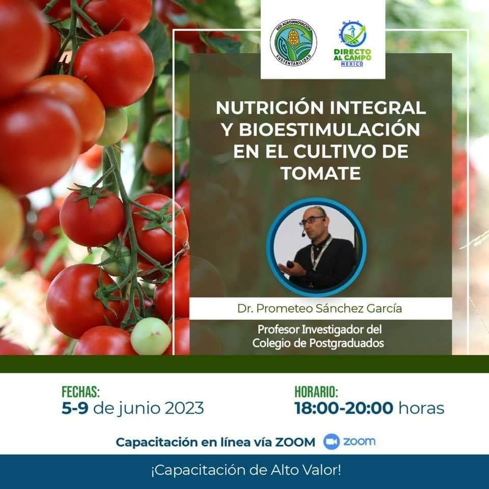 Cultivo de Tomate – Nutrición integral y bioestimulación