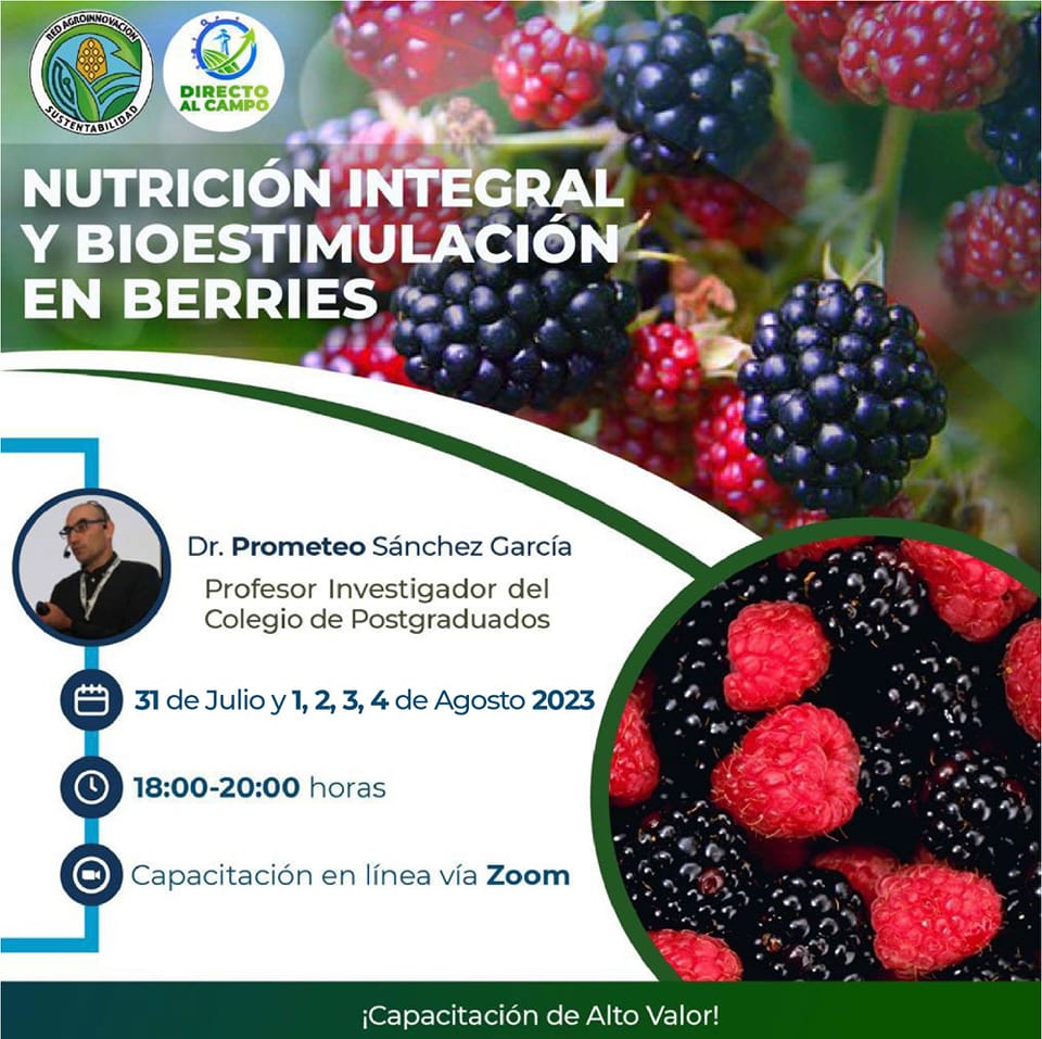 Berries – Nutrición Integral y Bioestimulación
