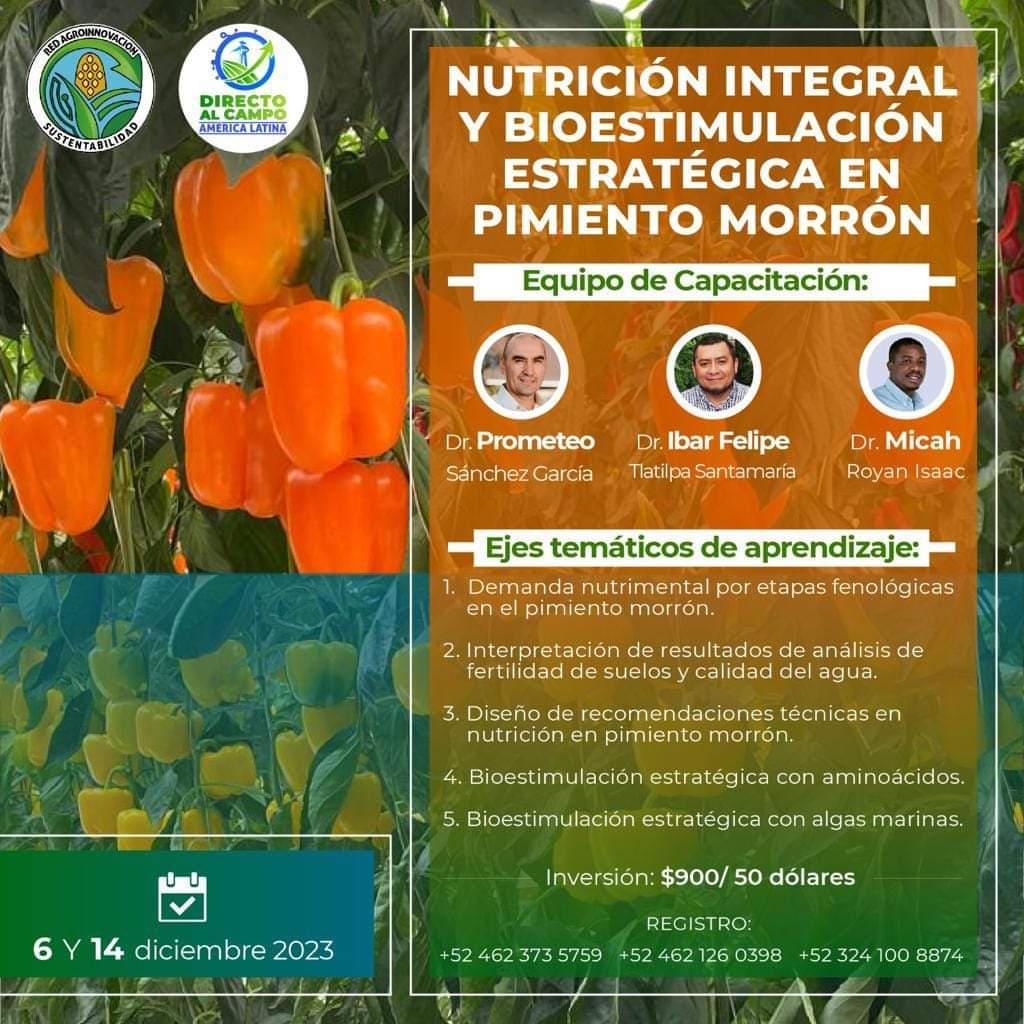 Nutrición Integral y Bioestimulación en Pimiento Morrón