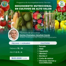 Seguimiento nutricional en cultivos de Alto Valor