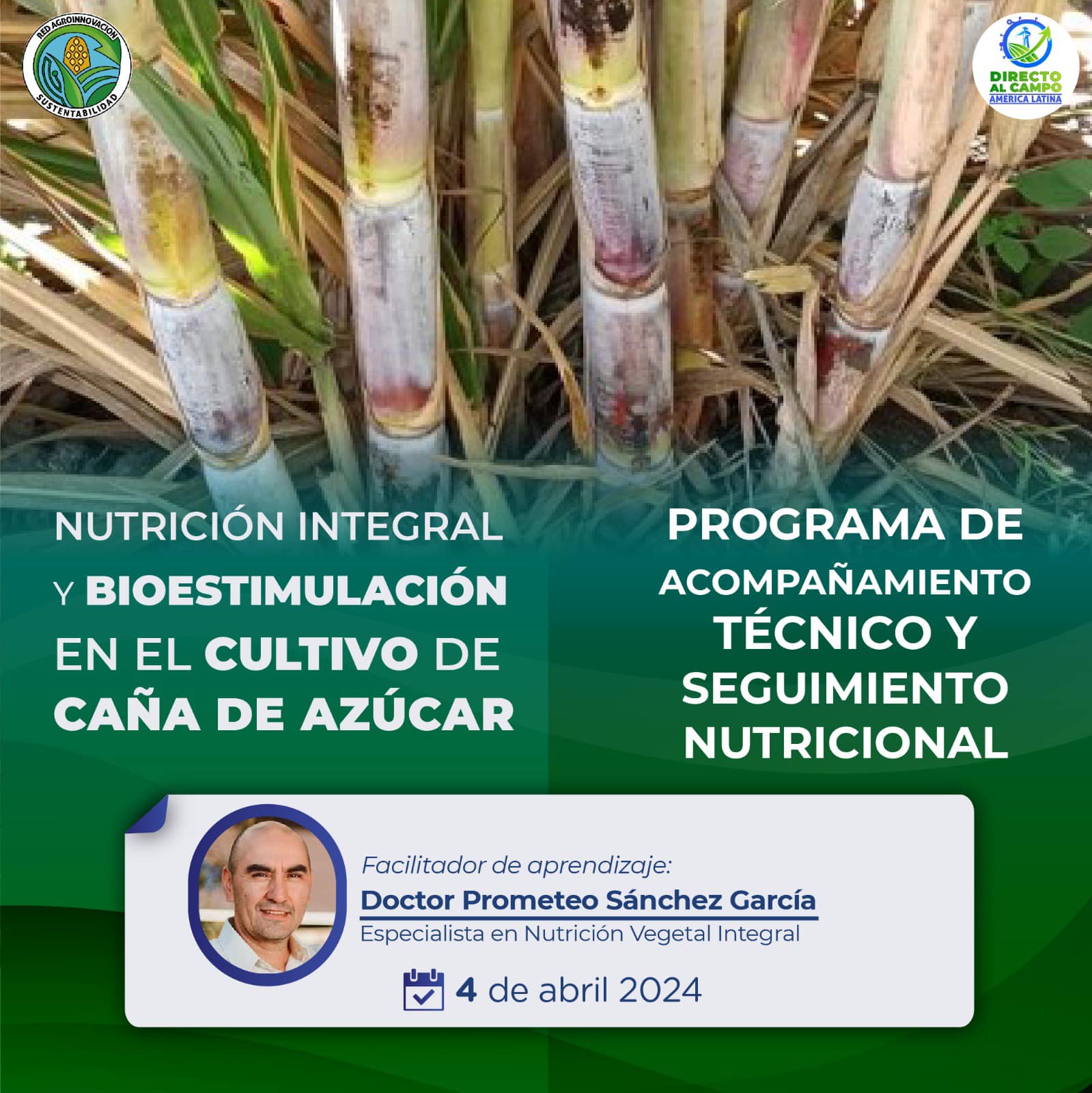 Cultivo de caña de azúcar – Nutrición integral y bioestimulación