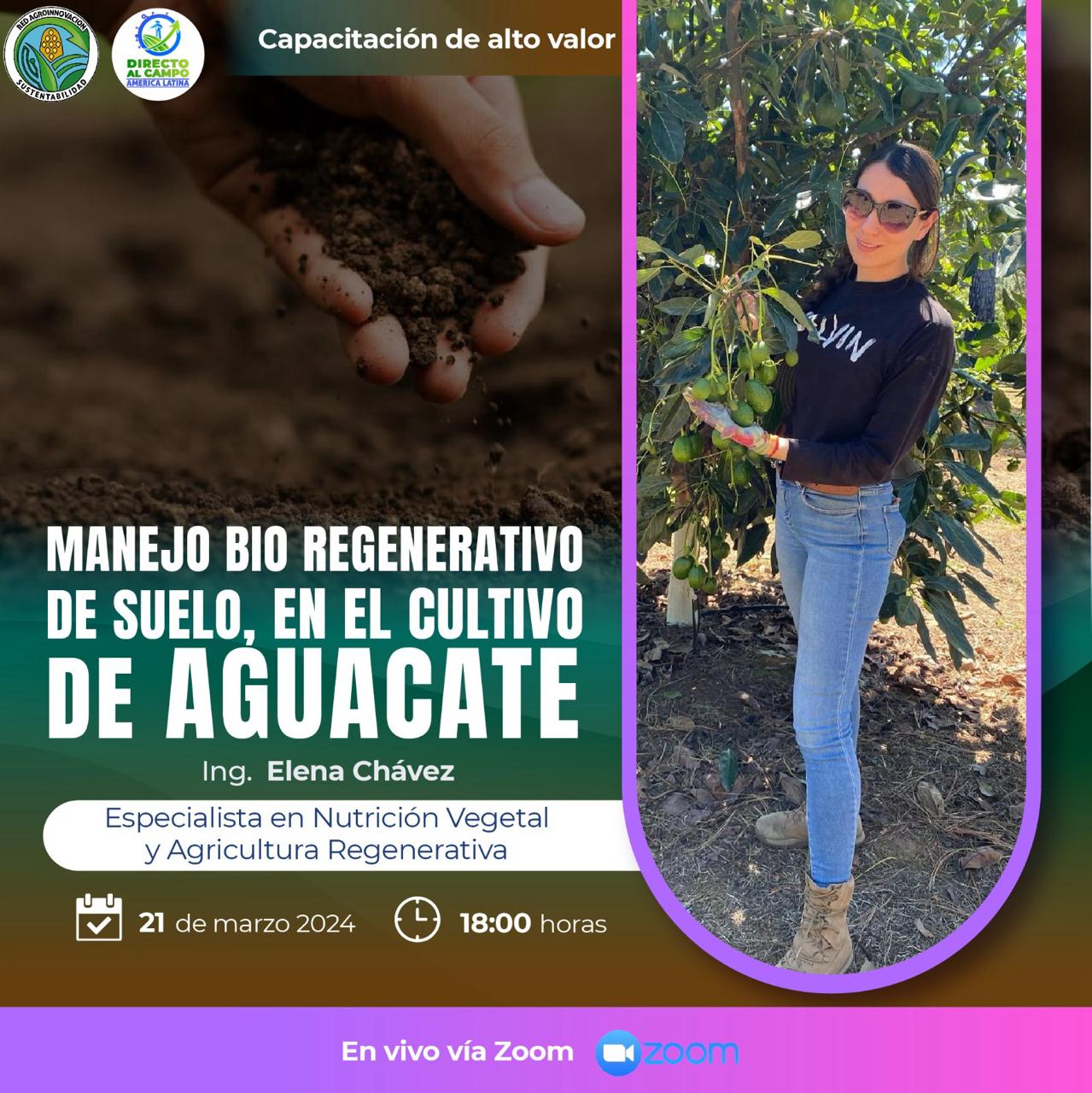 Manejo bio regenerativo de suelo en el cultivo de aguacate