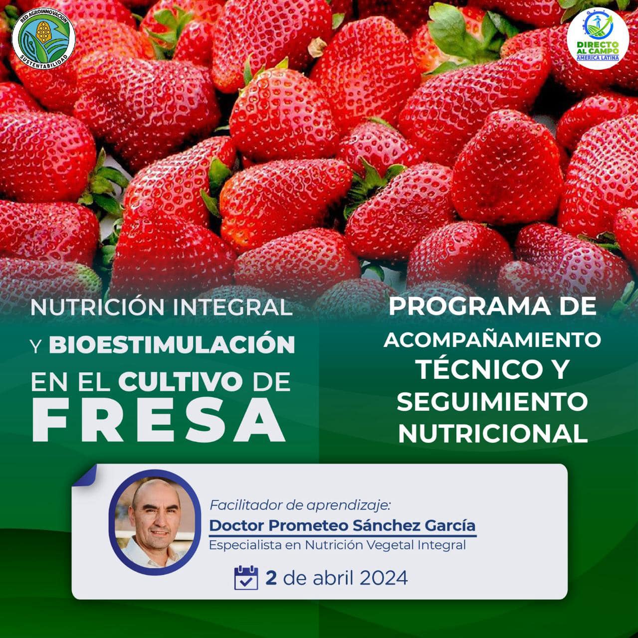 Cultivo de fresa – Nutrición integral y bioestimulación