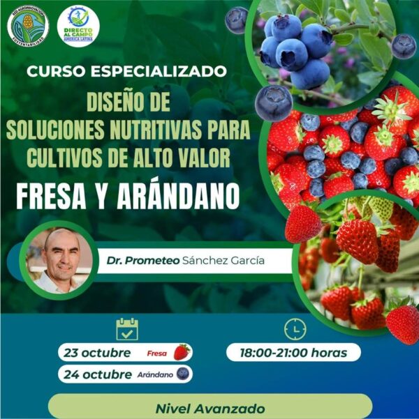 Curso de nutrición vegetal para fresas y arándanos Soluciones nutritivas para cultivos de alto valor Curso avanzado de nutrición de fresas y arándanos Optimización de cultivos de fresa y arándano Agricultura de alto rendimiento Diseño de soluciones nutritivas agrícolas