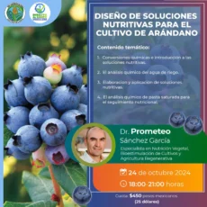 Diseño de Soluciones Nutritivas para el Cultivo de Arándano