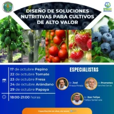 Diseño de soluciones nutritivas para cultivos de alto valor