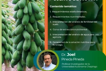 Diseño de Soluciones Nutritivas para el Cultivo de Papaya (2024)