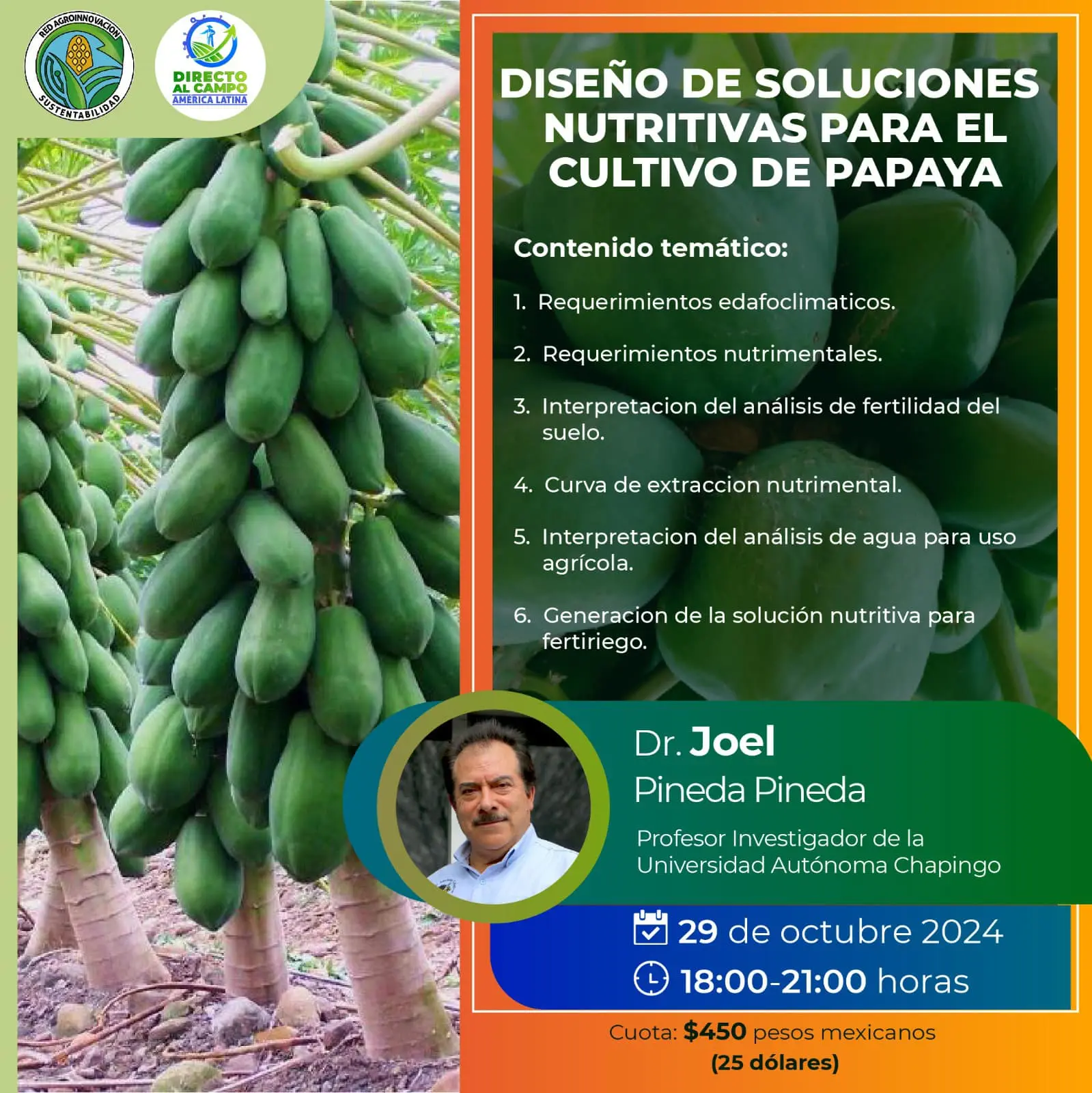 Diseño de Soluciones Nutritivas para el Cultivo de Papaya (2024)