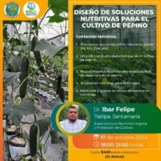 Diseño de Soluciones Nutritivas para el Cultivo de Pepino