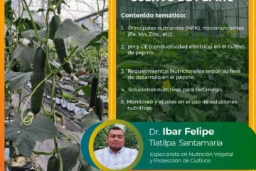 Diseño de Soluciones Nutritivas para el Cultivo de Pepino