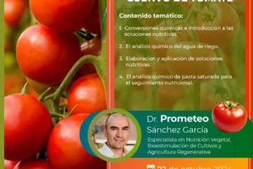 Diseño de Soluciones Nutritivas para el Cultivo de Tomate