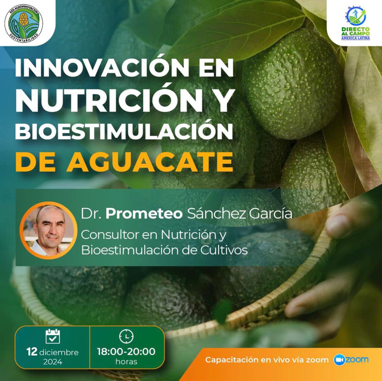 Innovación en Nutrición de cultivo de Aguacate