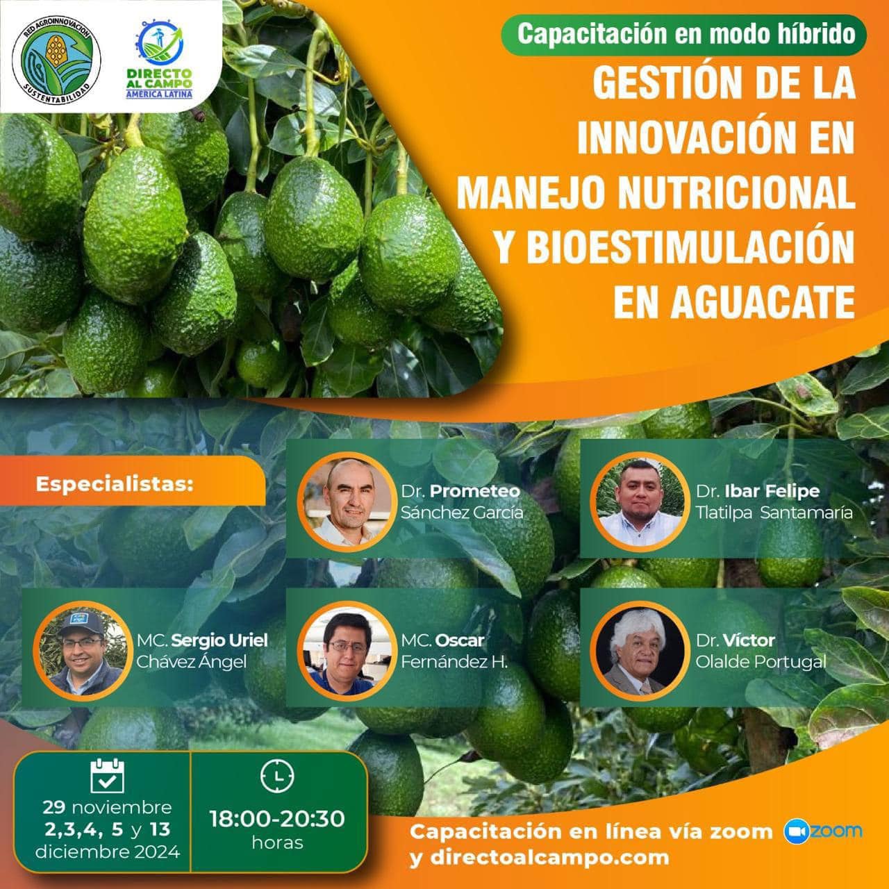 Gestión de la Innovación en el manejo nutricional y bioestimulación en cultivo de aguacate