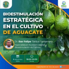 Bioestimualción estratégica en el cultivo de Aguacate